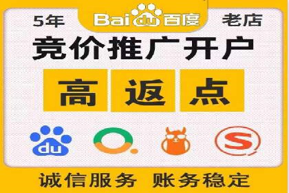 揭秘sem百度竞价背后的成功秘诀与案例